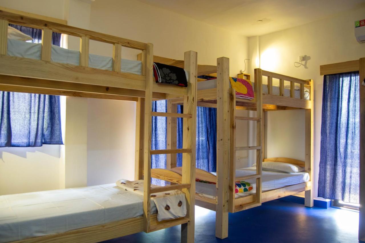 Bed in 8-Bed Mixed Dormitory Room,953403148:JPEG